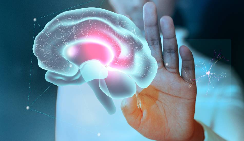 Memory and Neuro Health consultation and support